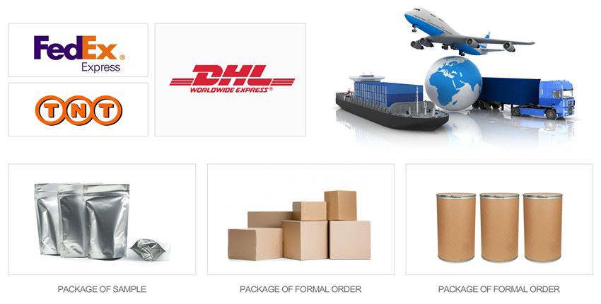 Packing & Shipping Packing & Shipping