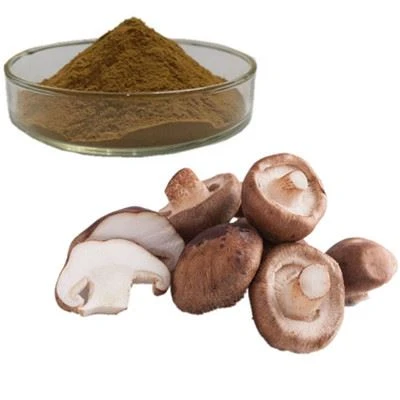 shiitake mushroom extract powder