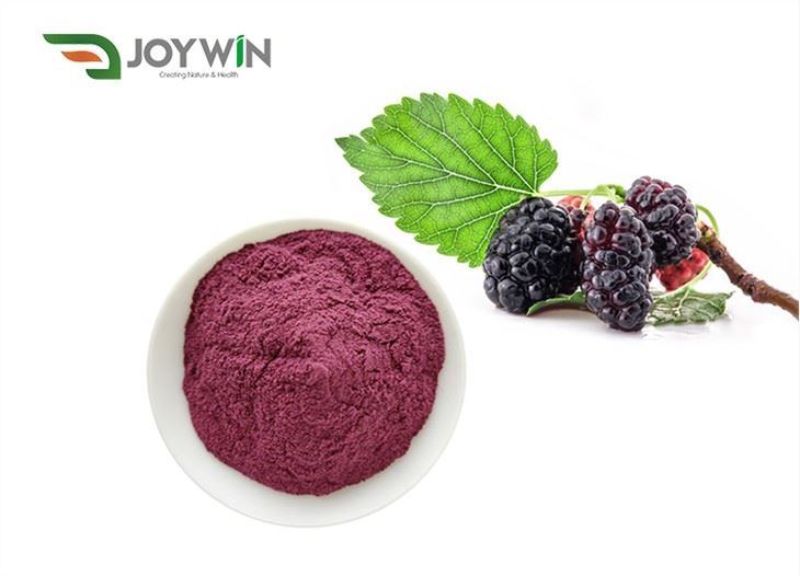 Mulberry puuviljamahla pulber