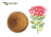Rhodiola Rosea juure ekstrakti pulber